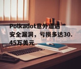 爱游戏全站-Polkadot意外遭遇安全漏洞，亏损多达30.45万美元的简单介绍