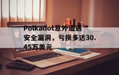 爱游戏全站-Polkadot意外遭遇安全漏洞，亏损多达30.45万美元的简单介绍