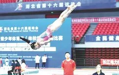爱游戏体育app下载-体操赛场再起风云：蓬莱鲨队队小胜关中独角兽队，脚步移动更到位临场应变见真章的简单介绍