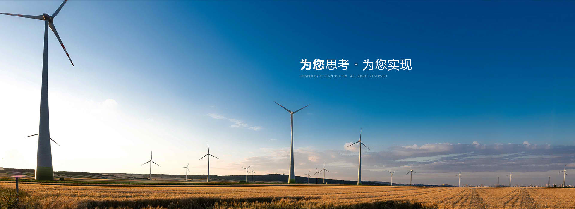 数据表现