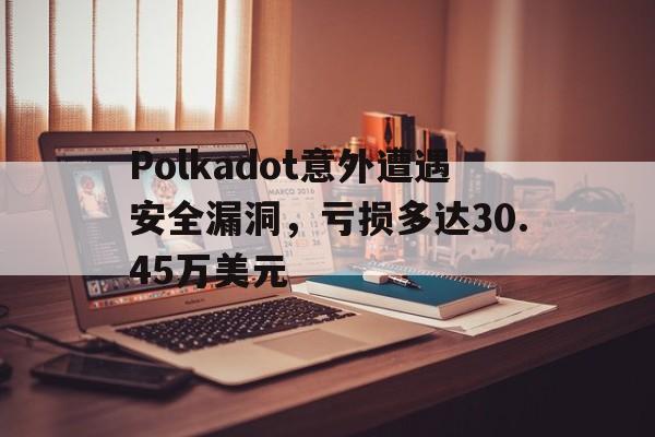 Polkadot意外遭遇安全漏洞，亏损多达30.45万美元的简单介绍